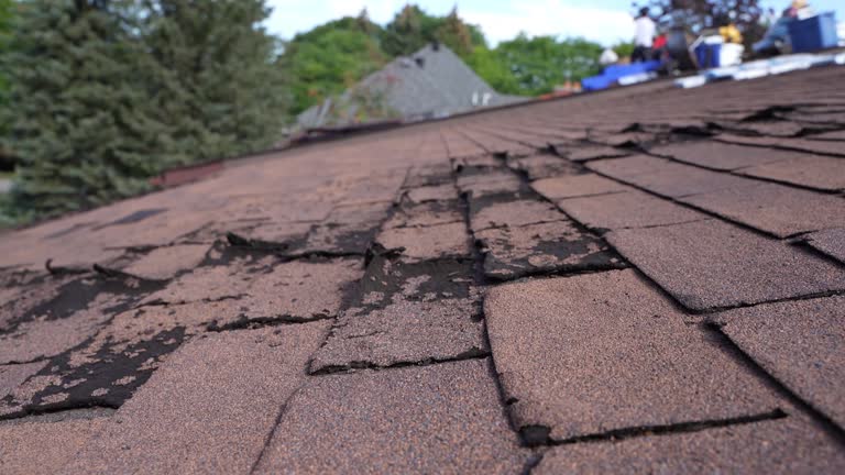 Montebello, CA Roofing Services Company